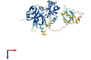 AlphaFold protein structure predicition of Mouse Recombinant Nherf4 Protein, UniprotID Q99MJ6