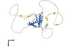 AlphaFold protein structure predicition of Human Recombinant SOX7 Protein, UniprotID Q9BT81