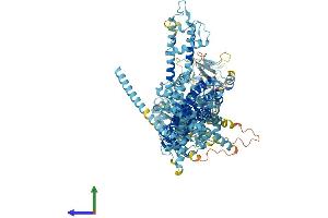 AlphaFold protein structure predicition of Human Recombinant TRPM8 Protein, UniprotID Q7Z2W7