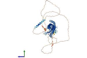 AlphaFold protein structure predicition of Mouse Recombinant Jph1 Protein, UniprotID Q9ET80
