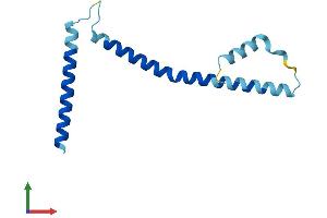 AlphaFold protein structure predicition of Human Recombinant SKA2 Protein, UniprotID Q8WVK7