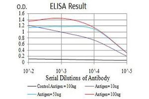 anti-ARD1 Homolog, N-Acetyltransferase (ARD1A) (AA 111-235) antibody