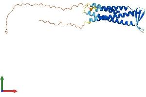 AlphaFold protein structure predicition of Human Recombinant SSPN Protein, UniprotID Q14714