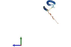AlphaFold protein structure predicition of Human Recombinant RABGAP1L Protein, UniprotID B7ZAP0