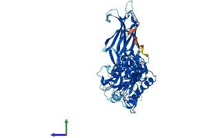 AlphaFold protein structure predicition of Human Recombinant CPNE1 Protein, UniprotID Q99829