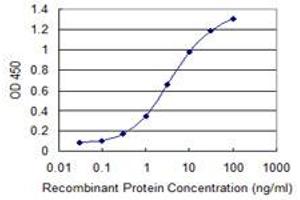 Detection limit for recombinant GST tagged DAPK2 is 0. (DAPK2 anticorps  (AA 281-370))