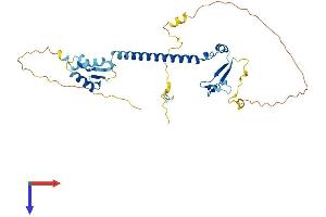 AlphaFold protein structure predicition of Mouse Recombinant E2f5 Protein, UniprotID Q61502