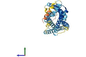 AlphaFold protein structure predicition of Mouse Recombinant Cxcr1 Protein, UniprotID Q810W6