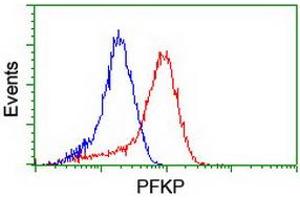 Flow cytometric Analysis of Hela cells, using anti-PFKP antibody (ABIN2455339), (Red), compared to a nonspecific negative control antibody, (Blue). (PFKP anticorps)