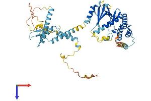 AlphaFold protein structure predicition of Mouse Recombinant Riok3 Protein, UniprotID Q9DBU3