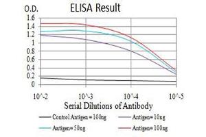 Black line: Control Antigen (100 ng),Purple line: Antigen (10 ng), Blue line: Antigen (50 ng), Red line:Antigen (100 ng)