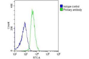 Overlay histogram showing U-2OS cells stained with (ABIN6242838 and ABIN6578520) (green line).