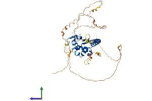AlphaFold protein structure predicition of Human Recombinant TSPYL1 Protein, UniprotID Q9H0U9