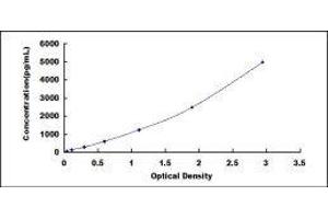 Typical standard curve (Neurotrophin 3 Kit ELISA)