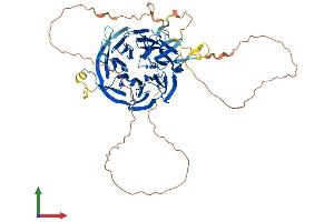 AlphaFold protein structure predicition of Mouse Recombinant Chaf1b Protein, UniprotID Q9D0N7