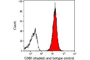 Flow Cytometry (FACS) image for anti-CD80 (CD80) (AA 37-245) antibody (ABIN7449358) (Recombinant CD80 anticorps  (AA 37-245))