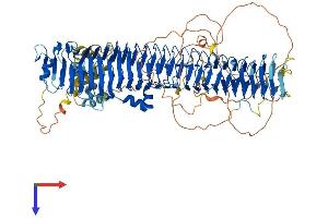 AlphaFold protein structure predicition of Human Recombinant FBXO10 Protein, UniprotID Q9UK96