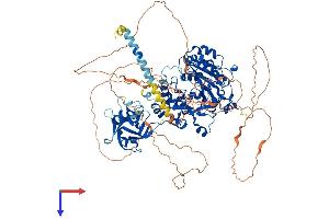 AlphaFold protein structure predicition of Mouse Recombinant Galnt5 Protein, UniprotID Q8C102