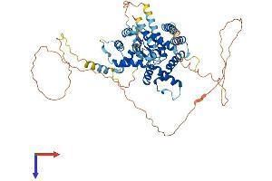 AlphaFold protein structure predicition of Human Recombinant PARPBP Protein, UniprotID Q9NWS1