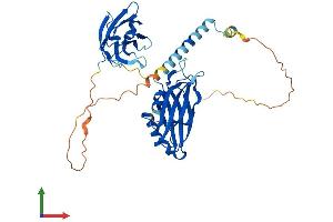 AlphaFold protein structure predicition of Human Recombinant SYT2 Protein, UniprotID Q8N9I0