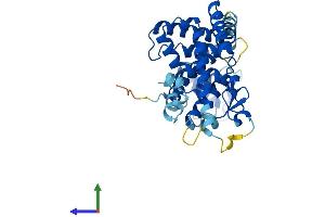 AlphaFold protein structure predicition of Human Recombinant NR1I3 Protein, UniprotID Q14994