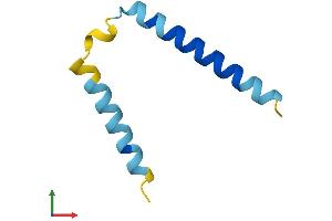 AlphaFold protein structure predicition of Mouse Recombinant Serf1 Protein, UniprotID O88892