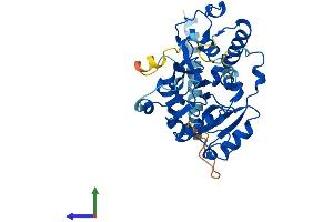 AlphaFold protein structure predicition of Mouse Recombinant Glt8d2 Protein, UniprotID Q640P4