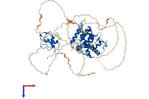 AlphaFold protein structure predicition of Mouse Recombinant Nr4a3 Protein, UniprotID Q9QZB6