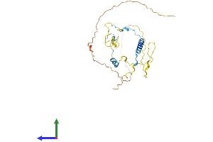 AlphaFold protein structure predicition of Mouse Recombinant Spats1 Protein, UniprotID A2RRY8