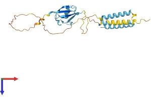 AlphaFold protein structure predicition of Human Recombinant TMUB1 Protein, UniprotID Q9BVT8