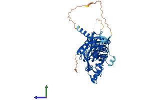 AlphaFold protein structure predicition of Mouse Recombinant Fbxo31 Protein, UniprotID Q3TQF0