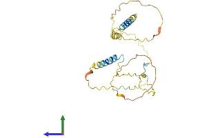 AlphaFold protein structure predicition of Human Recombinant LAT2 Protein, UniprotID Q9GZY6