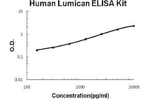 Human Lumican PicoKine ELISA Kit standard curve (LUM Kit ELISA)