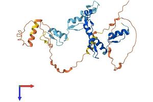 AlphaFold protein structure predicition of Mouse Recombinant Gfi1b Protein, UniprotID O70237