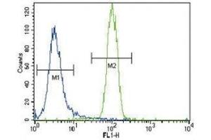 HNF4A antibody flow cytometric analysis of NCI-H460 cells (right histogram) compared to a negative control (left histogram). (HNF4A anticorps  (AA 281-312))