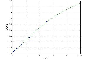 Keratin 20 (KRT20) ELISA Kit