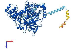 AlphaFold protein structure predicition of Human Recombinant ACSL1 Protein, UniprotID P33121