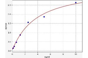 Typical standard curve (Casein Kinase 1 delta Kit ELISA)