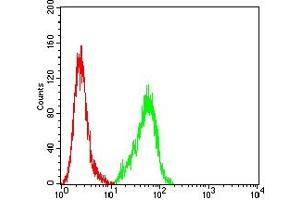 Flow cytometric analysis of MCF-7 cells using ACTH mouse mAb (green) and negative control (red). (ACTH anticorps)