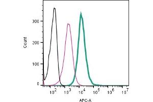 Cell surface detection of CD81 by direct flow cytometry in live intact mouse  microglia cell line: + Rabbit IgG Isotype Control-APC (ABIN7582043).