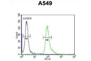 Flow Cytometry (FACS) image for anti-Abhydrolase Domain Containing 12 (ABHD12) antibody (ABIN3003955) (ABHD12 anticorps)
