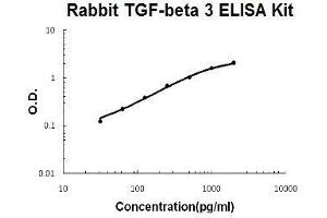 Rabbit TGF-beta 3 PicoKine ELISA Kit standard curve (TGFB3 Kit ELISA)