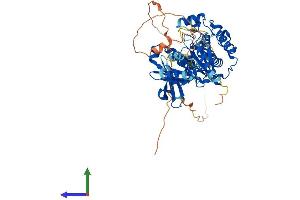 AlphaFold protein structure predicition of Mouse Recombinant Pdpk1 Protein, UniprotID Q9Z2A0