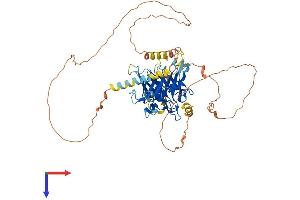 AlphaFold protein structure predicition of Human Recombinant TULP1 Protein, UniprotID O00294