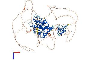 AlphaFold protein structure predicition of Human Recombinant NR3C1 Protein, UniprotID P04150