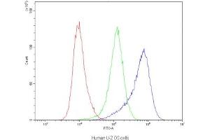 Flow cytometry testing of human U-2 OS cells with Dynamin 1 antibody at 1ug/10^6 cells (blocked with goat sera) (Dynamin 1 anticorps)