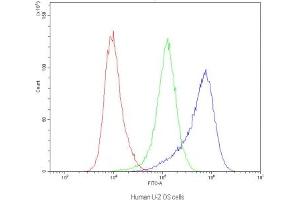 Flow cytometry testing of human U-2 OS cells with Dynamin 1 antibody at 1ug/10^6 cells (blocked with goat sera) (Dynamin 1 anticorps)