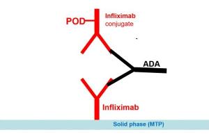Image no. 1 for Infliximab Antibody ELISA Kit (ABIN2862658) (Infliximab Antibody Kit ELISA)