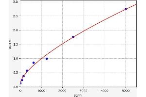 Typical standard curve (RAP1A Kit ELISA)