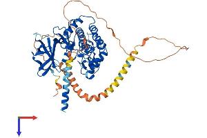 AlphaFold protein structure predicition of Human Recombinant VRK2 Protein, UniprotID Q86Y07